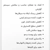 ترب سفید ،ترب برگدار معروف به ترب خمپاره ای|خوردنی و آشامیدنی|چهارباغ, |دیوار