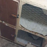 قفس کبوتر جفتگاه