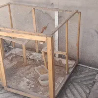 قفس