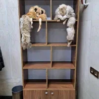 کتاب خونه تمیز نو شیک