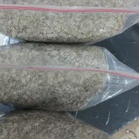 بذر شوید گاوریش|خدمات باغبانی و درختکاری|برازجان, |دیوار