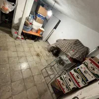 خانه واحد ویلایی ۲ طبقه مجزا با زیرزمین فول|فروش خانه و ویلا|مشکیندشت, |دیوار