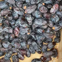 خرما خنیزی صادراتی
