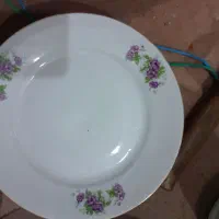 بشقاب چینی|ظروف سرو و پذیرایی|اردبیل, |دیوار