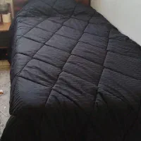 تخت و رگال