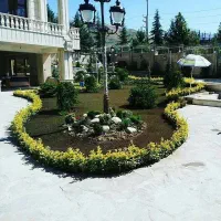 باغبانی طراحی باغچه گل درخت فضای سبز با چک مدت دار|خدمات باغبانی و درختکاری|کرج, گوهردشت|دیوار