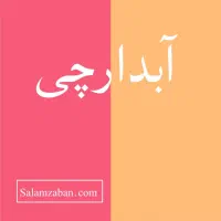 ابدارچی خانم