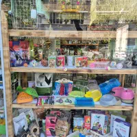 غذای گربه سگ حیوانات خانگی پت شاپ امیریه پ.ر.ن.د.ه