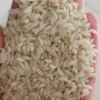 برنج چمپا میداوود ۱۰۰کیلو موجود
