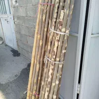چوب گردو تکانی بلند|عمده‌فروشی|شیراز, کوشک میدان|دیوار