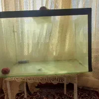 ۶تا آکواریوم کوچیک و بزرگ