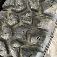 لاستیک گل جنگلی|قطعات یدکی و لوازم جانبی|بانه, |دیوار