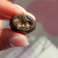 سنگ نشان مهره