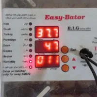 دستگاه جوجه کشی شراکتی