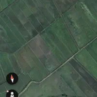 شالیزار مزرعه برنج