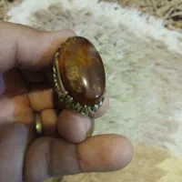 معاوضه با طوطی|جواهرات|جیرفت, |دیوار