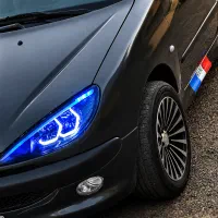 ۲۰۶ فرانسوی