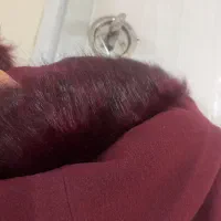 پالتو زنانه سایز ۴۰|لباس|مشهد, فلسطین|دیوار