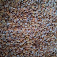 بلغور ذرت|لوازم جانبی حیوانات|اصفهان, ارداجی|دیوار