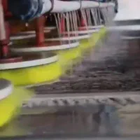 قالیشویی مجاز فردوسی|خدمات نظافت|کرج, ساسانی (قلمستان)|دیوار