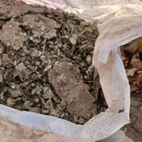 کود.کبوترفروشی