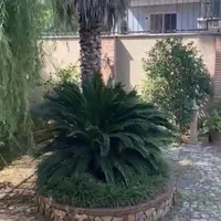 اجاره ویلایی تریبلکس ۱۶۰ متری ۳ خواب/بلوار گیلان|اجارهٔ خانه و ویلا|رشت, پستک|دیوار
