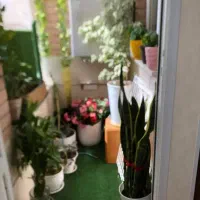 واحد-120متری-شیک-جنوبی-بزرگمهر