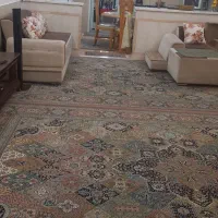 زیرزمین-شمالی