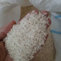 برنج طارم روشن