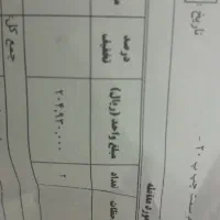 یک جفت فرش ۹متری نونوبازنشده|فرش|اصفهان, مارچین|دیوار