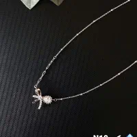 گردنبندهای نقره جذاب و لوکس|جواهرات|لاهیجان, انقلاب|دیوار