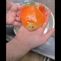 دیسکس گرید A+