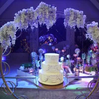 تشریفات عروسی، عقد، تولد و موزیک قصر گیلان|خدمات پذیرایی، مراسم|رشت, معلم|دیوار