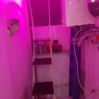 پایه گل و گلدون|مبلمان خانگی و میز عسلی|مشهد, سمزقند|دیوار