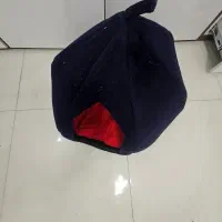 توله سگ|سگ|باقرشهر, |دیوار