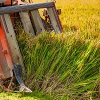 افزایش ۳۰ درصدی تناژ محصول