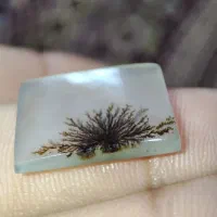 نگین شجر|جواهرات|فیروزآباد (لرستان), |دیوار