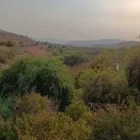 زمین مسکونی رادمهر۲