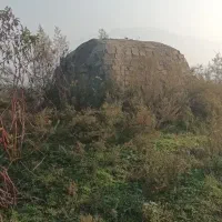 اجاره کوره ذغال و استخر ماهی