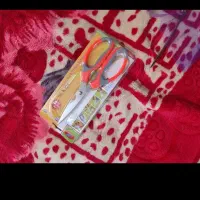 قیچی آشپزخانه خانه