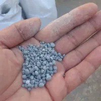 خرید بذر چغندر و کود شیمیایی|فعالیت داوطلبانه تحقیقاتی|خزل, |دیوار