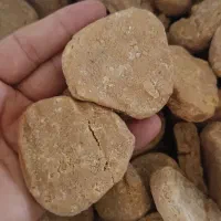 کشک بز شهر ایلام بدون افزودنی