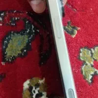 ایفون ۱۶ فول کپی نونو|موبایل|دزفول, |دیوار