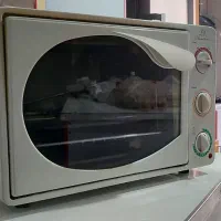 آون توستر|اجاق گاز و لوازم برقی پختوپز|رودهن, |دیوار