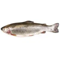 ماهی قزل الا و سالمون شهرکرد