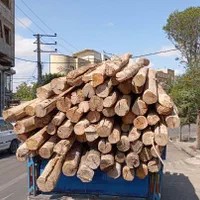 خرید انواع درخت چوب سقفی کهنه از باغچه وحیاط|خدمات باغبانی و درختکاری|تبریز, |دیوار