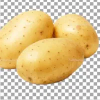 فروش سیب زمینی درجه۱