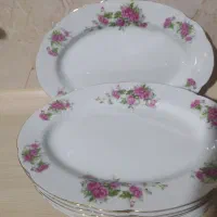 دیس کباب یا مرغ خوری گل قرمزی قدیمی