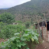 زمین باغی و دامداری مجوز دار|فروش دفتر صنعتی، کشاورزی، تجاری|گرگان, |دیوار