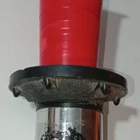 بوق گاوی سالم